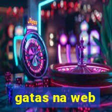 gatas na web